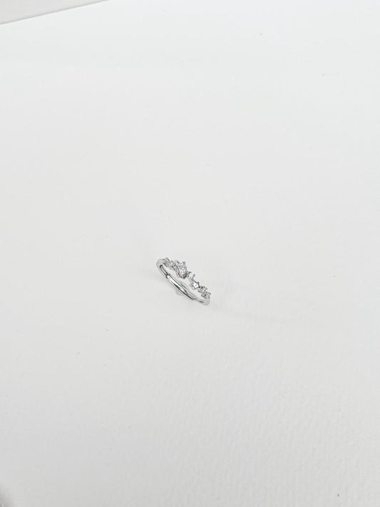 Whole universe adjustable ring