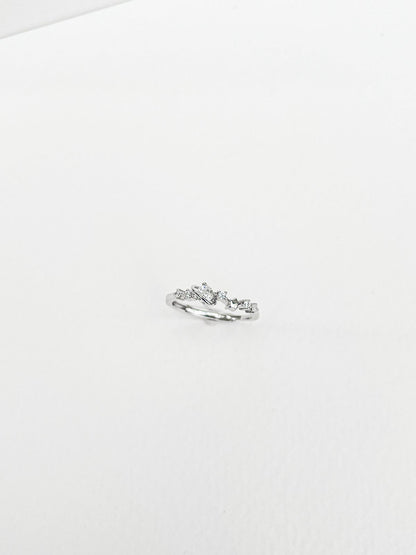 Whole universe adjustable ring