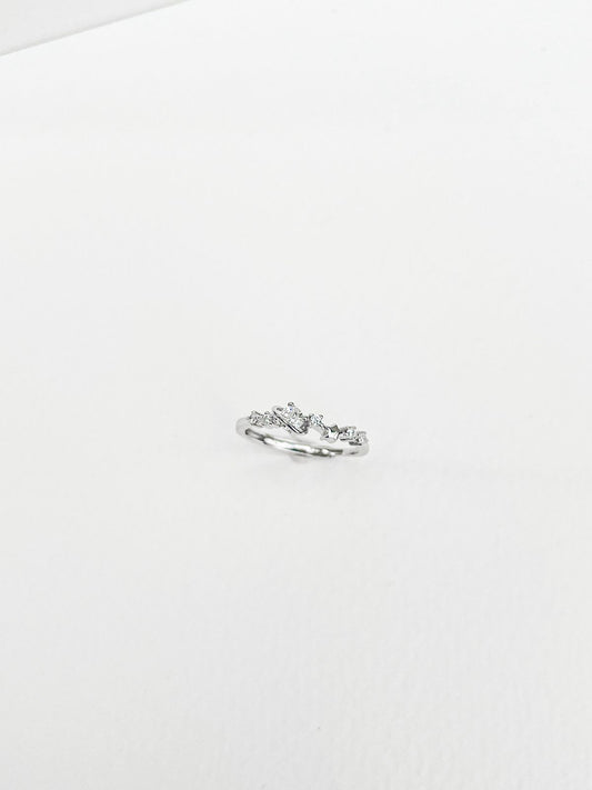 Whole universe adjustable ring