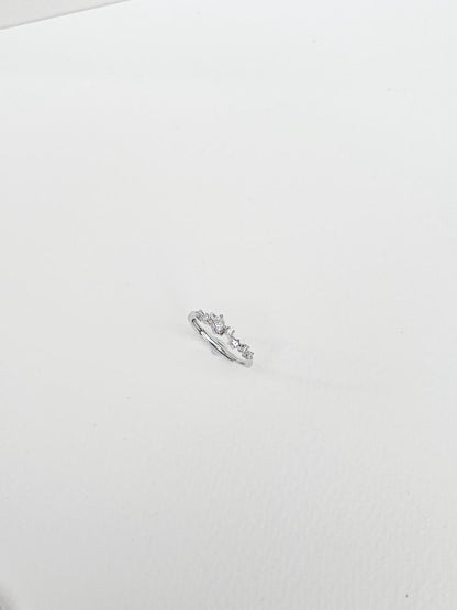 Whole universe adjustable ring